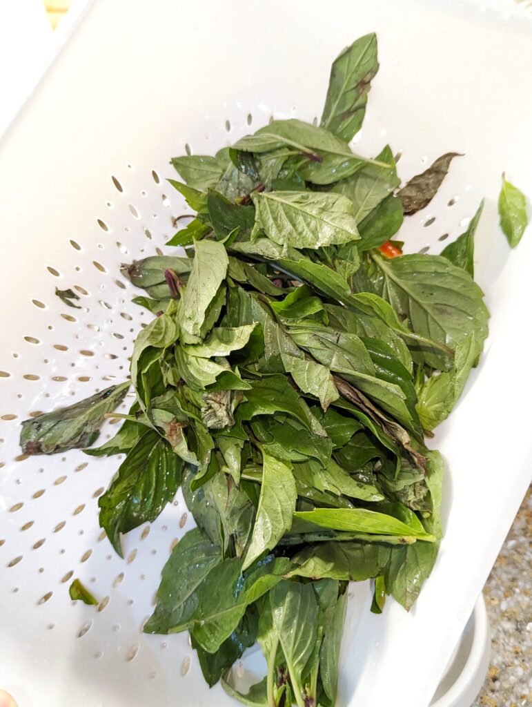 Fresh basil 